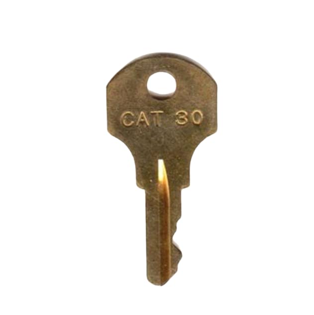 Juego de llaves de repuesto estilo CAT30|LK/KY-CAT30|Hochiki Store